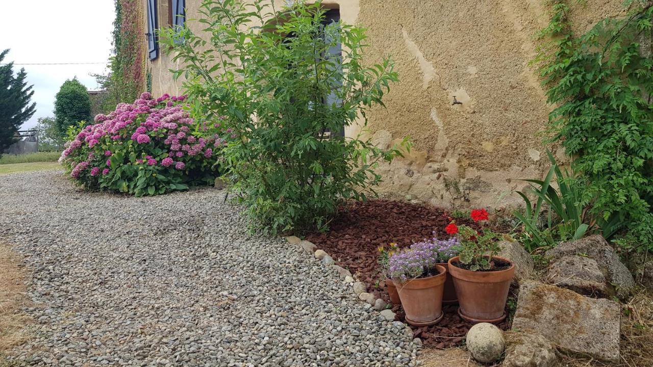 Le Peyroutet Apartment Cazaux-Villecomtal Bagian luar foto