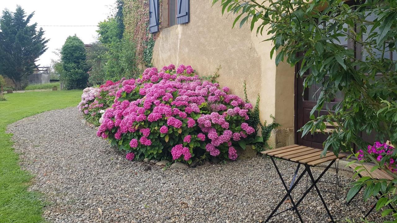 Le Peyroutet Apartment Cazaux-Villecomtal Bagian luar foto