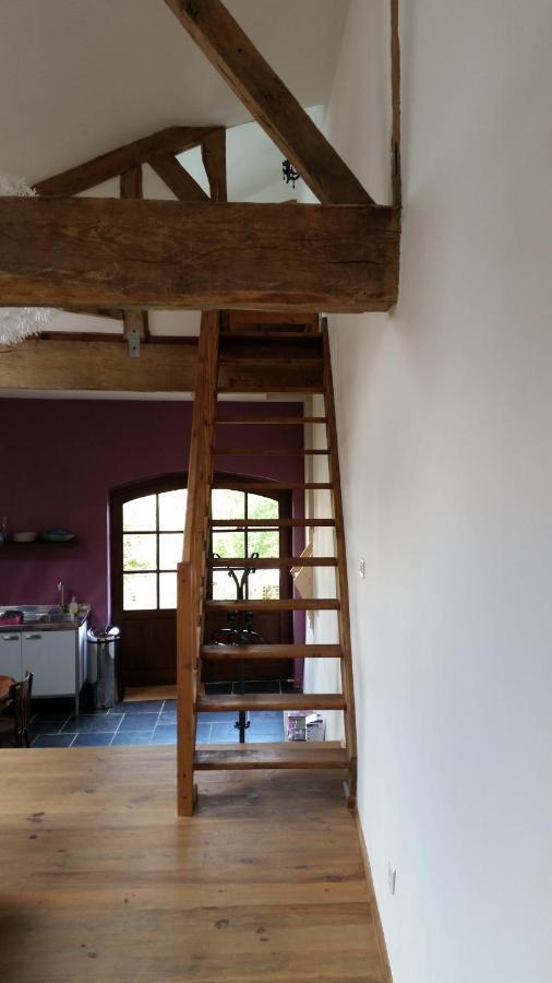 Le Peyroutet Apartment Cazaux-Villecomtal Bagian luar foto